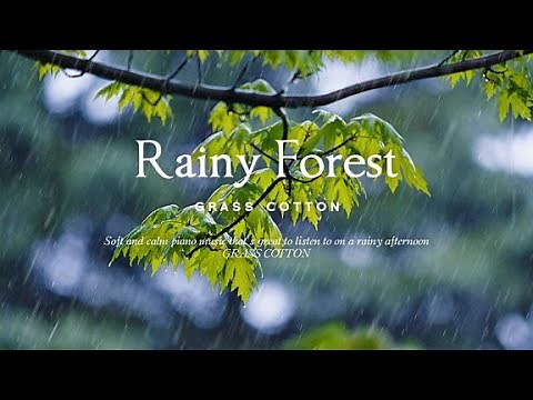 Soft and calm piano music that's great to listen to on a rainy afternoon l GRASS COTTON+