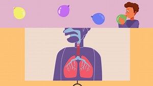 Mein Körper –  Atmung und Sauerstoffkreislauf | sofatutor.com