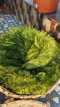 #today#video#prasadkuwait