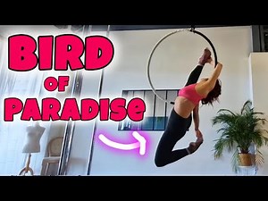 Bird of Paradise (Aerial Hoop / Lyra tutorial)