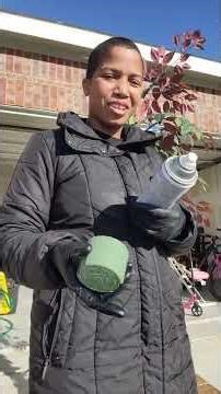 Spray painting an artificial tree #spraypaint #fauxtree #homedecoration #fauxflowers #diyprojects