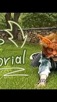 tutorial! Quadrobics jump🐾