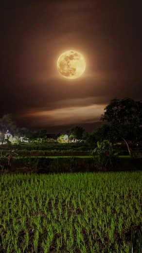 jaman 2017 #liriklagu #jawapride #overlaylyrics