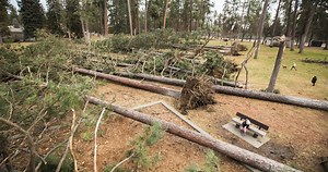 447 reactions · 125 shares | The January 13 windstorm brought extensive damage to homes, businesses, and our electric and natural gas services. To you, our customers. Thank you. We thank you for your patience, understanding, and support, as our field and office personnel worked tirelessly to restore power for us all. Thank you. #windstorm2021 | Avista Utilities | Facebook