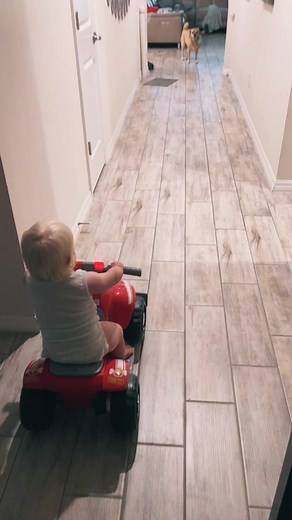 Go get me some Taco Bell! #baby #babymotorcycle #fleeing #onthemove