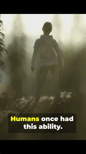 Animals Have a Sense We Lost