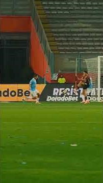 Pavo M@ricon no te vayas a correr!! 🦃