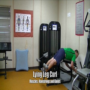 wt leg exercises