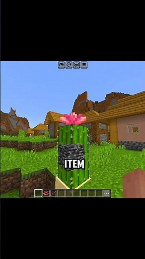 Most Minecraft Player dont know? ⛏️ #minecraft #shorts
