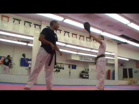 Taekwondo Back Swing (Back Hook Kick) (2011)