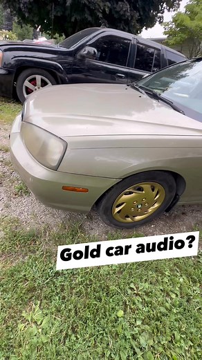 Hello #log #caraudio #goldmember #sundownaudio | Log Schneider