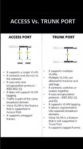 Access Port vs Trunk Port Explained | VLAN Basics for Beginners (CCNA Tutorial)