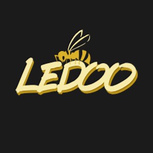 LEDOO - Twitch