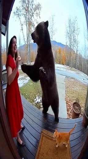 Doorbell Cam Captures Bear Dancing With Woman 🐻💃