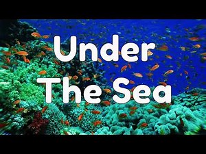 Under the Sea - With Makaton Signs