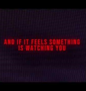 What to do if you encounter PBBV