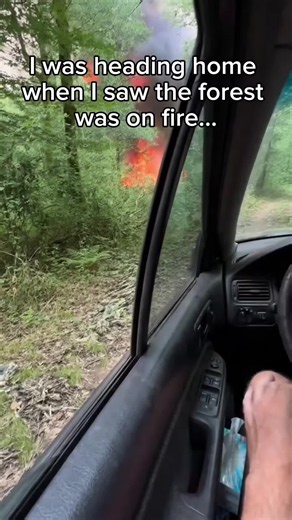 I was heading home when I saw the forest was on fire… 🔥🌲 Then a fox came running toward me, as if he desperately needed help. 🦊 I followed him and discovered that his tiny baby needed help. I rushed him to the vet, and after recovering, he met Milo. 🐶❤️🦊 Milo treated him like a little brother. They shared food, slept together, and played every day. But six days later, his mother came back… and it was time to say goodbye. 💔 I thought I would never see him again… but one week later, somethin