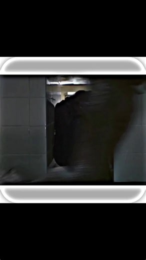 mishiedit1 on TikTok