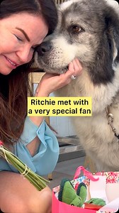 48K views · 6.5K reactions | The impact Ritchie makes in people’s lives 凉 Mom and dad were in the background filled with that emotion from @marymargaretlooby . You made our Ritchie so much happier, thank you for the visit. We love you❣️ #ritchiethepyr | Ritchie ThePyr | Facebook