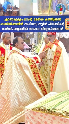 എറണാകുളം സെന്റ് മേരീസ്‌ കത്തീഡ്രൽ ബസിലിക്കയിൽ തട്ടിൽ പിതാവിന്റെ കാർമ്മികത്വത്തിൽ ഓശാന തിരുകർമ്മങ്ങൾ