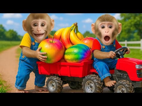 Monkey KOKI and Big Adventure with Rainbow Fruits on the Farm