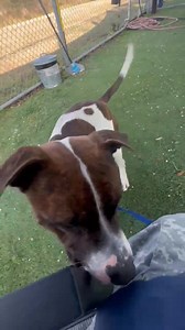 4.4K views · 225 reactions | SAFE with Tiff’s Pack TY!!! Please make...