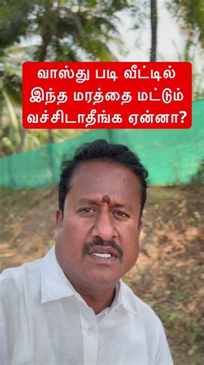 வாஸ்து படி வீட்டில் இந்த மரத்தை மட்டும் வச்சிடாதீங்க ஏன்னா? #adhithyavastu #shortsfeed #மரம்