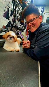 25K views · 600 reactions |  Acclimating Puppies to Grooming Tools ✨Want a stress-free grooming experience for life? Start NOW! ✅ Let them sniff & explore tools first✅ Short, positive sessions with treats✅ Introduce sounds before touch✅ Handle paws, ears & coat gentlySlow & steady builds confidence—your future self (and groomer) will thank you!  #PuppyGrooming #ConfidentPup #StressFreeGrooming | Pupparazzi Pets | Facebook