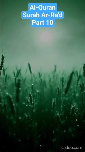 Al Quran Surah Ar - Ra'd Part 10 #love #quran #quranforeever #quranrecitation #motivation