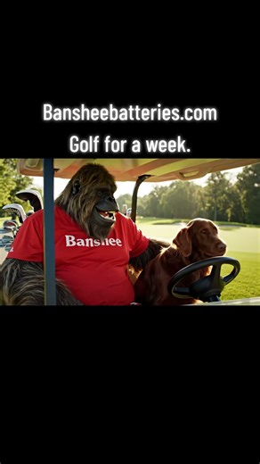 Banshee 36 volt lithium batteries are perfect for golf carts.
