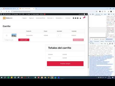 Clase 30 WordPress: Ajustes de diseño con CSS adicional