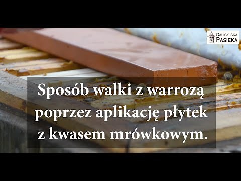 Sposób walki z warrozą poprzez aplikację płytek nasączonych kwasem mrówkowym.