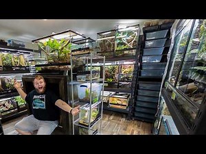 Reptile Room Tour Feb. 2025!! Enclosure by Enclosure tour!