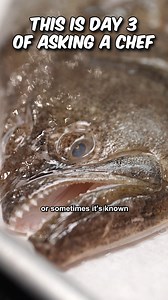 149K views · 2K reactions | There's no way he can make this fish look fancy!  | DannyGrubs | Facebook