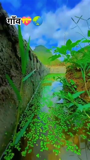 farming reels ❤️🌍 #song​ #farming​ #khetibadi​ #dailyshorts​ #virulshorts​