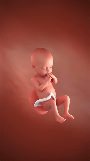 Your Baby Can Hear You Already! #pregnancy #babydevelopment