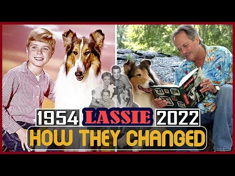 LASSIE 1954 (TV Series) Cast THEN AND NOW 2022 How They Changed