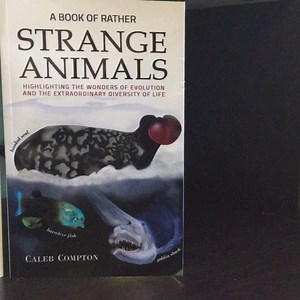 2.4K views · 218 reactions | If you think I’m a bit of a strange animal, wait til you see the ones in this book! Based on the popular social media account @strangeanimals_, this book is full of weird and wonderful creatures from all over the world! #strangeanimals #books #birb #birdsofinstagram #animals | Dominic - Son of Alex the Honking Bird | Facebook