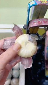 #successstories #motivationdaily #inspirationdaily #PositiveImpact | Positive Impact