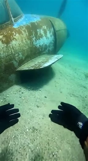 Discover the Fun of Scuba Diving with Friends