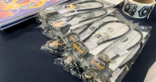 Norfolk Police Department gives away free gun locks