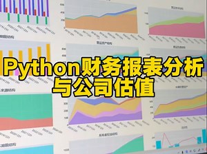 Python财务报表分析与公司估值