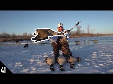 I Shot A WEIRD Goose! (RARE?) | Goose Hunting 2021