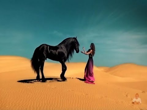 Elton John - The One (Lyrics) Legenda Inglês - Português