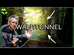 LEARN TO PHOTOGRAPHY - Brilliantly photograph light tunnels in the forest!