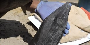 archaeologists discover world’s oldest wood structure in zambia, dating back 476,000 years