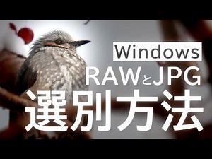 【無料】JPEGからRAWデータを素早く選別する方法