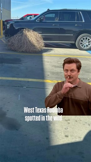 BES-TEX Supply, LLC on Instagram: "🌬️💨🍃 If your mulch has moved zip codes today …. Same. #bestexsupply #sanangelo #bestex #westtexas"