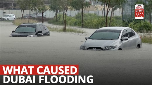 37K views · 185 reactions | Heavy thunderstorms lashed the United Arab Emirates, dumping over a year-and-a-half’s worth of rain on the desert city-state of Dubai in the span of hours. This caused massive inconvenience to the people, as it flooded out portions of major highways and its international airport. #UAE #Dubai #cloudseeding #floods #NewsMo | India Today | Facebook