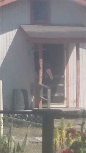 Monitoring lizard looking over here